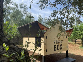 #StarsBoxtragliulivi